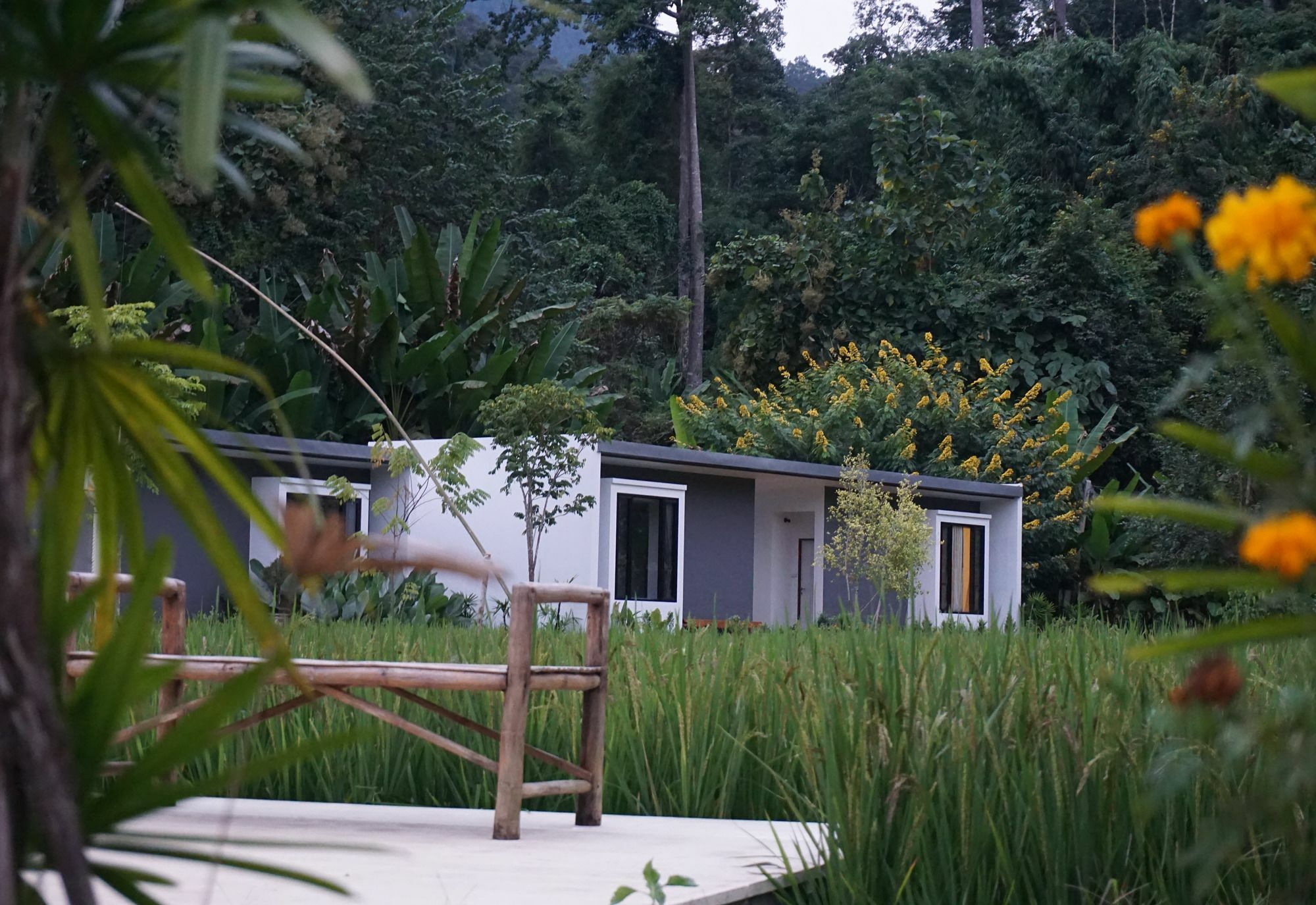 Villa De View Chiang Dao Buitenkant foto