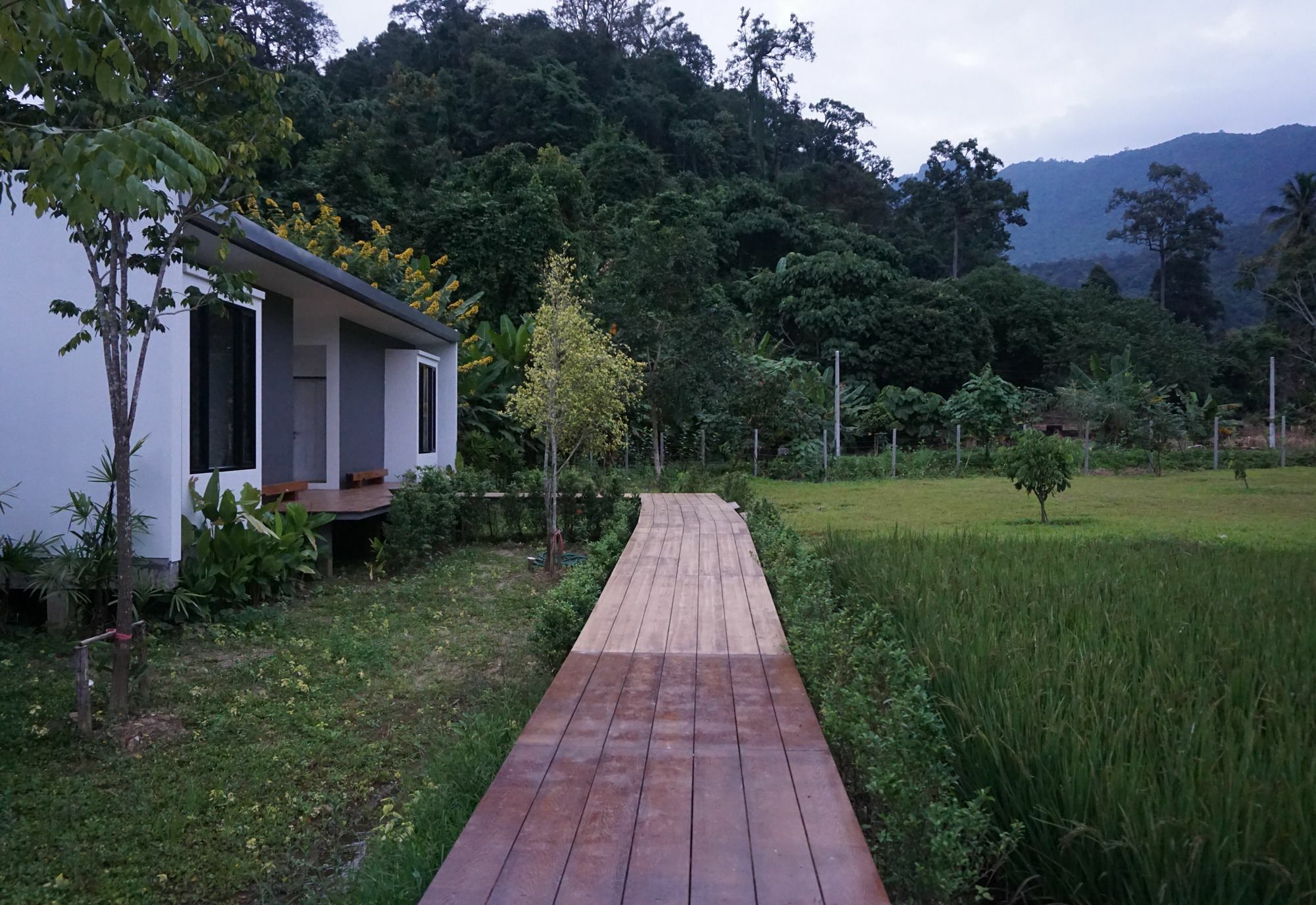 Villa De View Chiang Dao Buitenkant foto